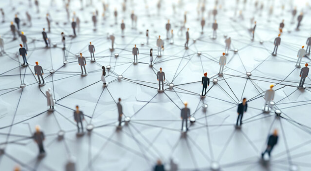 Herd Society vs. Individual Decisions